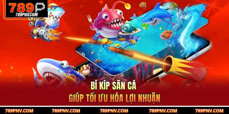 Bí kíp săn cá giúp tối ưu hóa lợi nhuận