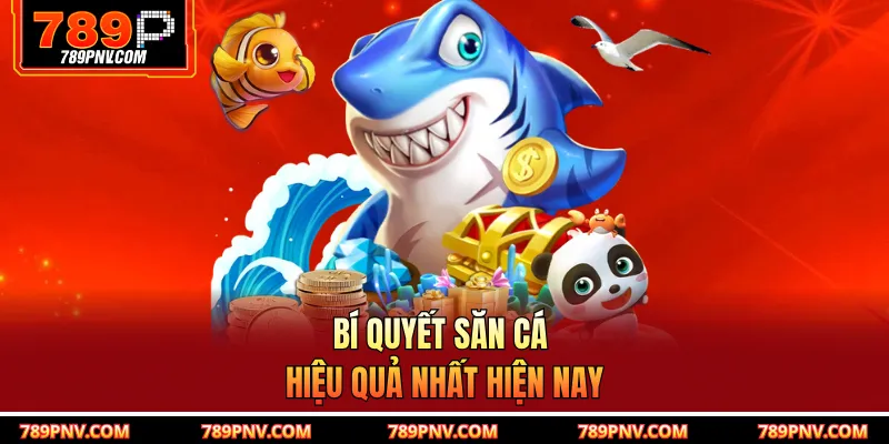 Bí quyết săn cá hiệu quả nhất hiện nay